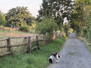 Vakantiehuis Bad Harzburg Omgeving 27