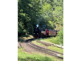 Holiday house Bad Harzburg Environment 30