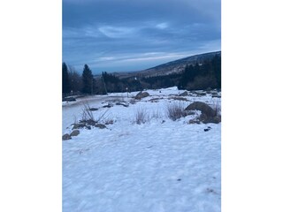 Holiday house Bad Harzburg Environment 33