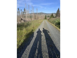 Holiday house Bad Harzburg Environment 35