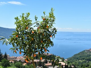 Appartamento per vacanze Tignale  68