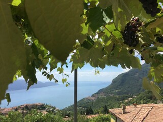 Appartamento per vacanze Tignale  69