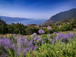 Appartamento per vacanze Tignale  71