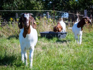 Ferienwohnung Dänschendorf  39