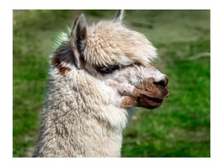 Ferienwohnung Dänschendorf  41