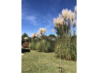 Vakantiehuis Soustons Buitenaudio-opname 10