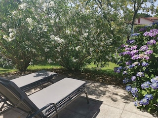 Terrasse mit Liegestühlen