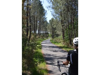 Vakantiehuis Soustons Omgeving 31