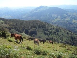 Vakantiehuis Soustons Omgeving 35