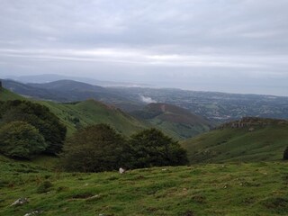 Vakantiehuis Soustons Omgeving 40