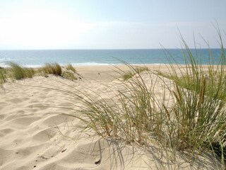 Vakantiehuis Soustons Omgeving 26