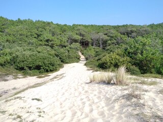 Vakantiehuis Soustons Omgeving 34