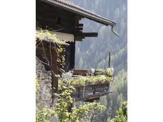 Maison de vacances Ultental Environnement 15