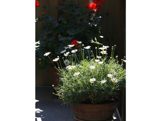 Casa per le vacanze Ultental Ambiente 21