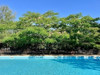 Apartamento de vacaciones Massa Marittima Grabación al aire libre 5