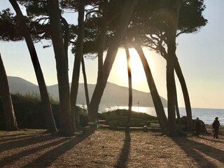 Appartamento per vacanze Massa Marittima Ambiente 24