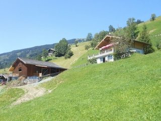 Appartement Hollersbach im Pinzgau Enregistrement extérieur 5