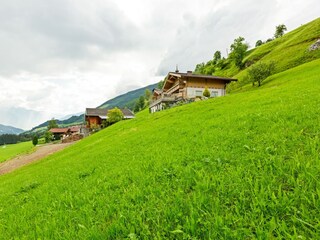 Apartment Hollersbach im Pinzgau Umgebung 24