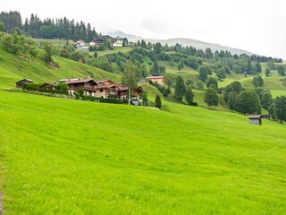 Appartement Hollersbach im Pinzgau Omgeving 25