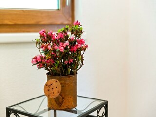 Apartment Hollersbach im Pinzgau  30