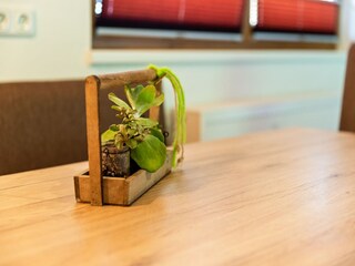 Apartamento Hollersbach im Pinzgau  27