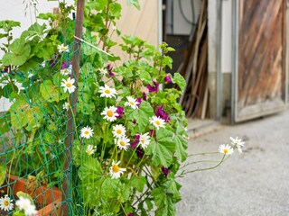 Appartamento Hollersbach im Pinzgau  35