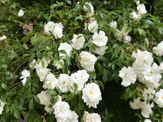 Vakantiehuis Clohars-Carnoët Buitenaudio-opname 5