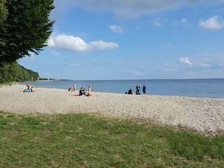Haffstrand in Kamminke in 3 km Entfernung