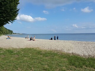 Haffstrand in Kamminke in 3 km Entfernung