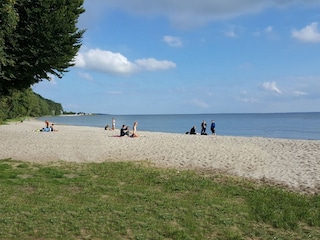 Haffstrand in Kamminke in 3 km Entfernung