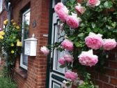 blooming roses frame the front door