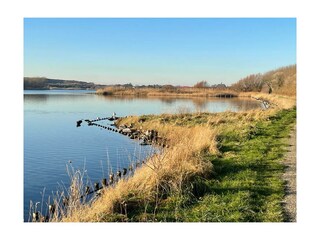 Appartamento Westkapelle Ambiente 13