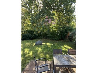 tiefstehende Sonne im Herbst