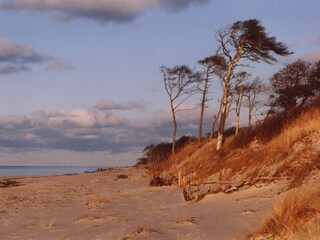 feinsandiger wild-romantischer Weststrand