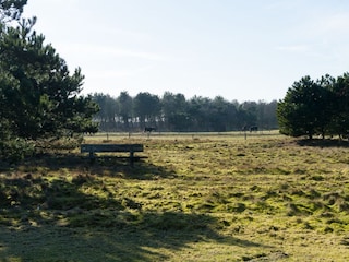 Neben Vleijenhof