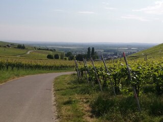 Casa de vacaciones Auggen Entorno 27