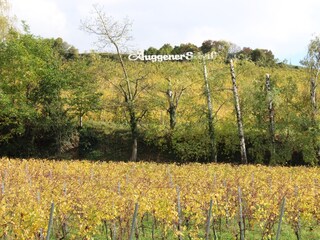 Casa de vacaciones Auggen Entorno 26