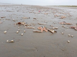 Appartamento Buren Ambiente 12