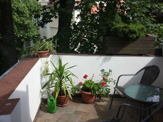 Terrasse / Balkon