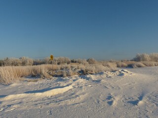 Winter am Bodden