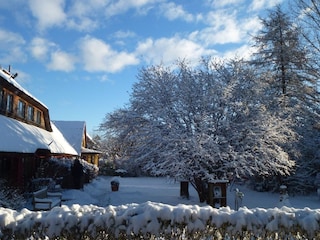 Der Garten im Winter