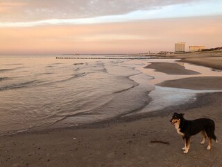 Der Strand von Warnemünde im Winter