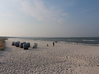 endloser Strand in Prerow