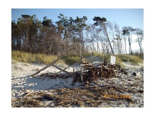 wilder Weststrand