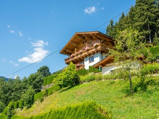 Apartamento Wald im Pinzgau Grabación al aire libre 3