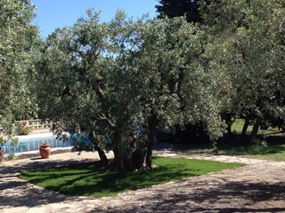 Casa per le vacanze Arles Registrazione all'aperto 9