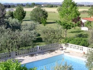 Holiday house Mas des Oliviers - Arles - image1