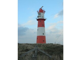 Vakantieappartement Borkum Omgeving 9