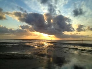 Vakantieappartement Borkum Omgeving 10