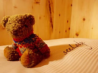 Casa per le vacanze Oetz Caratteristiche 13